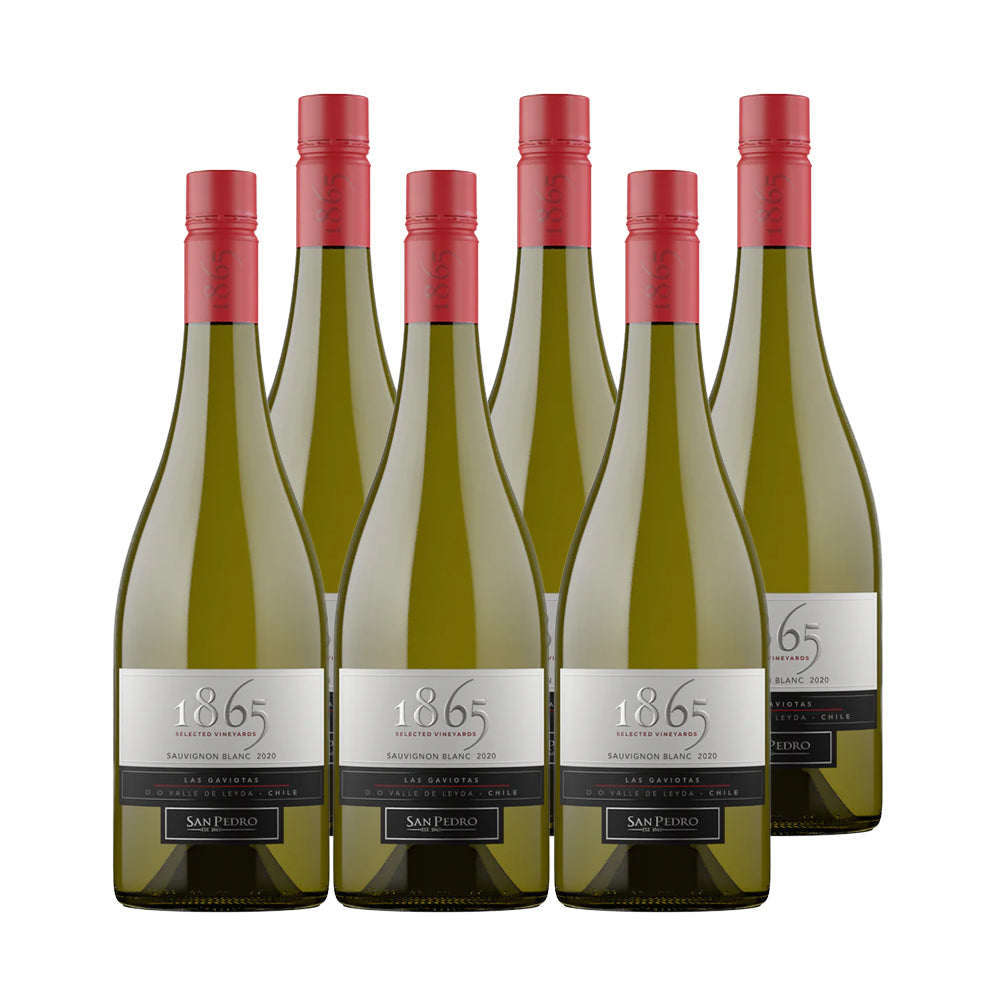 6x Vino 1865 Selected Vineyard Cepas 750cc