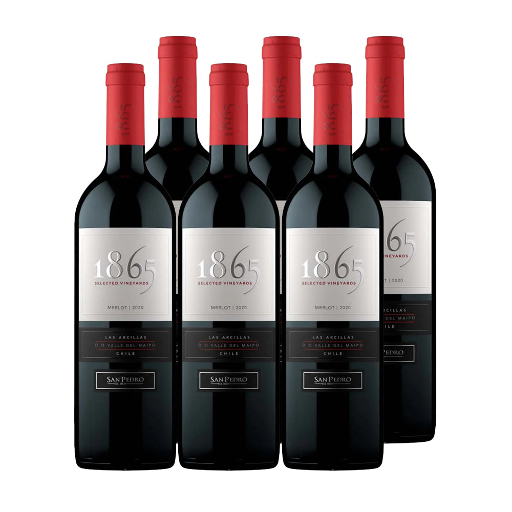 6x Vino 1865 Selected Vineyard Cepas 750cc