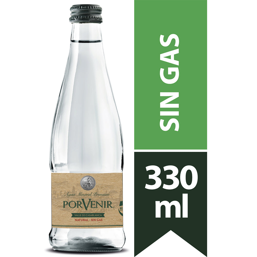 Agua Mineral Porvenir Sin Gas Botella Vidrio 330cc