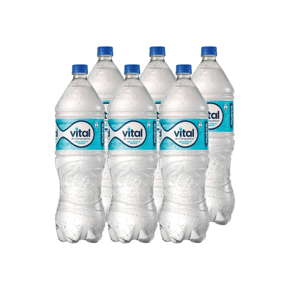 6x Agua Purificada Vital Con Gas 1600cc