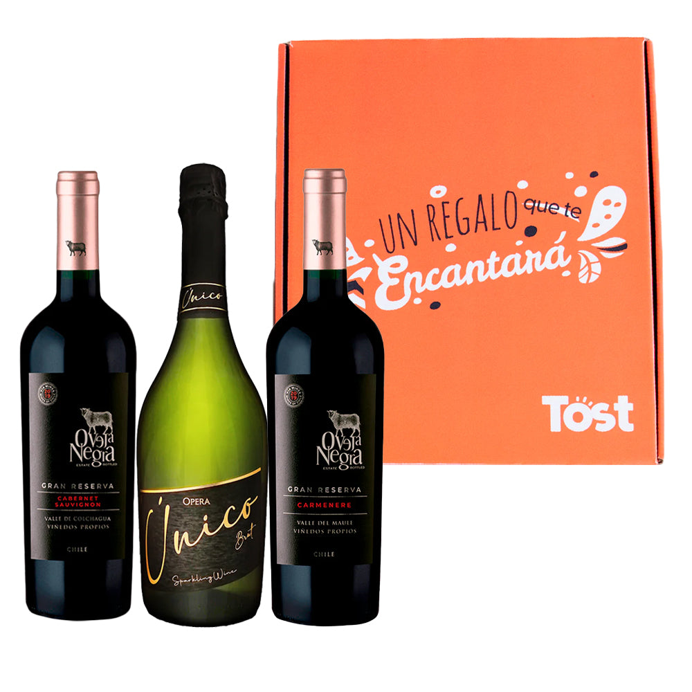 Pack de Regalo: 2 Vinos Gran Reserva 750cc (1 Carmenere + 1 Cabernet) + Espumante Brut 750cc