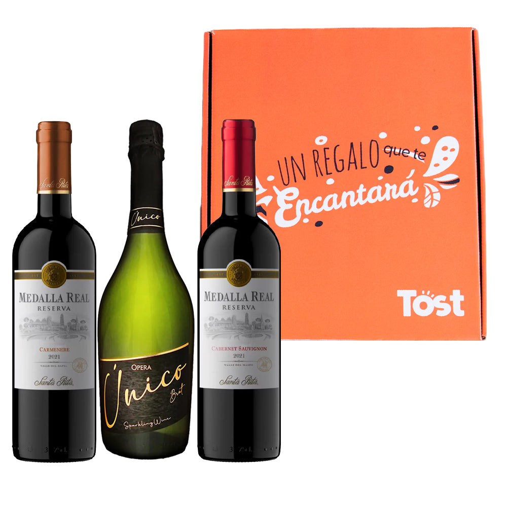 Pack de Regalo: 2 Vinos Reserva 750cc (1 Carmenere + 1 Cabernet) + Espumante Brut 750cc