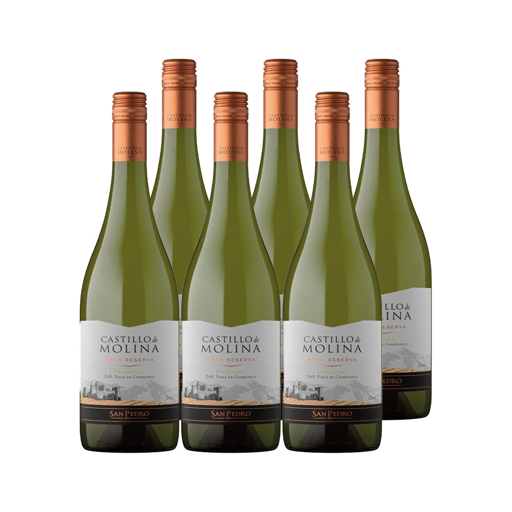 6x Vino Castillo de Molina Gran Reserva Cepas 750cc