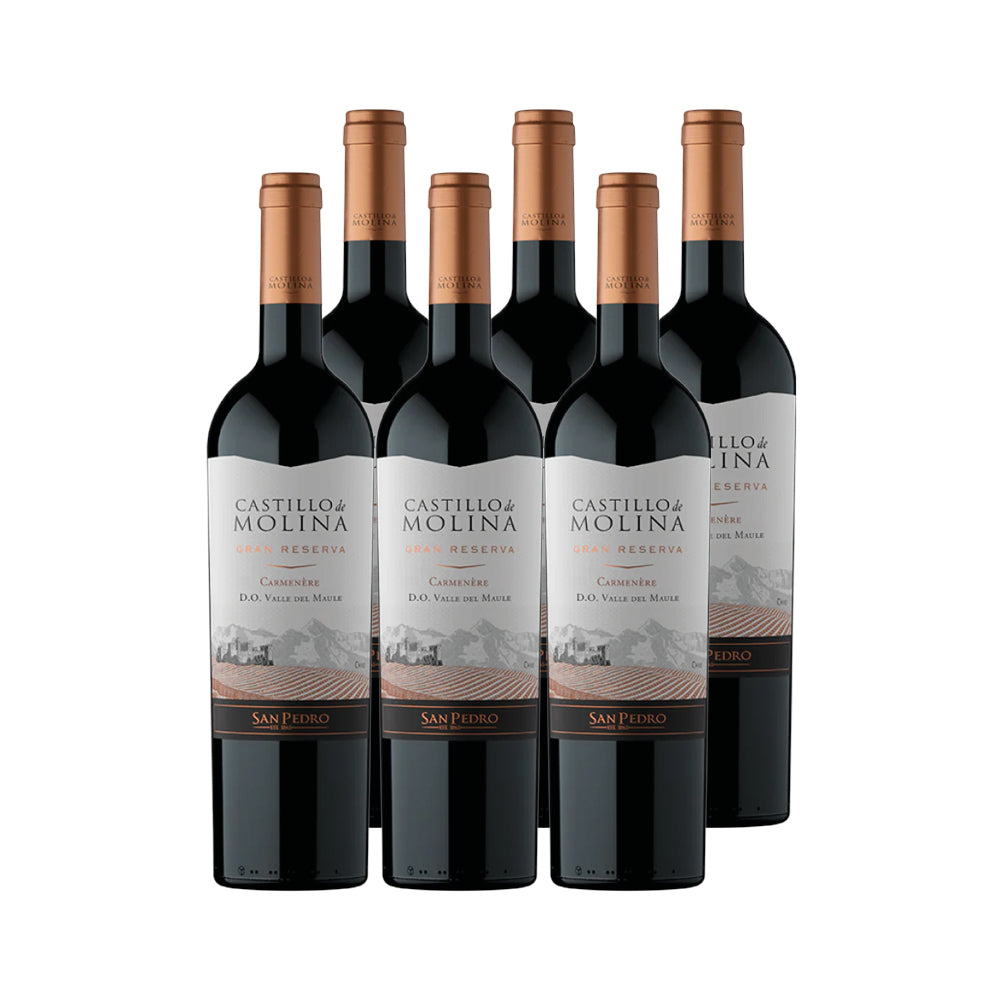 6x Vino Castillo de Molina Gran Reserva Cepas 750cc
