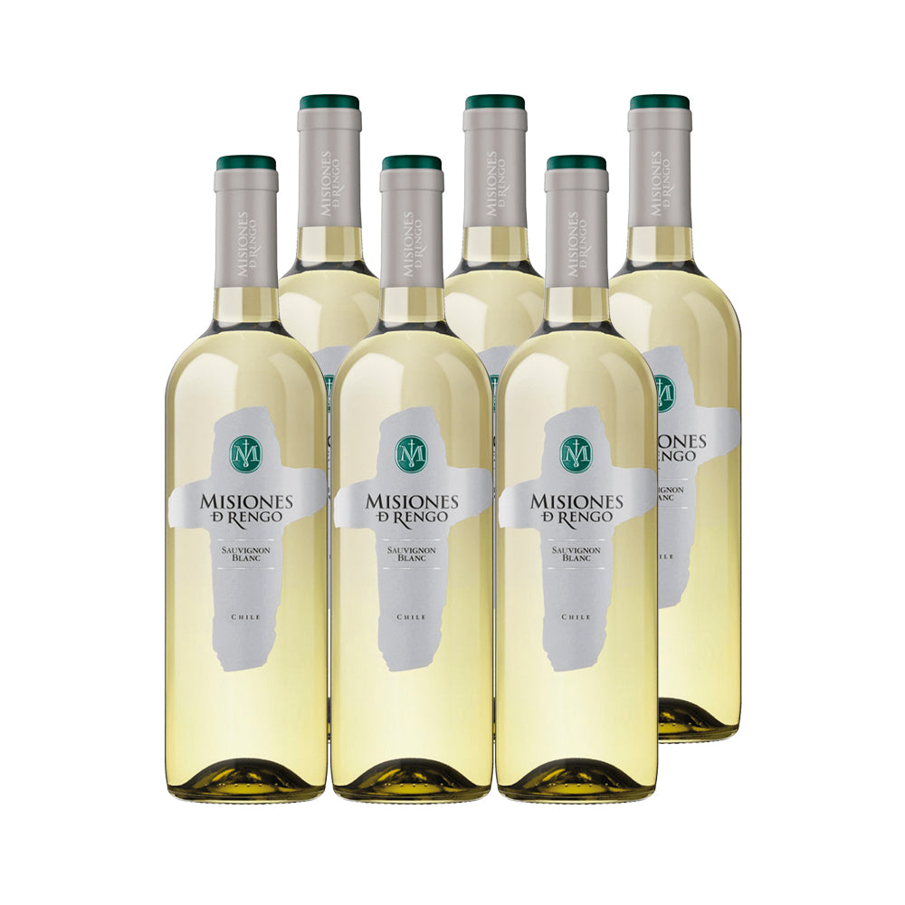 6x Vino Misiones de Rengo Varietal Cepas 750cc