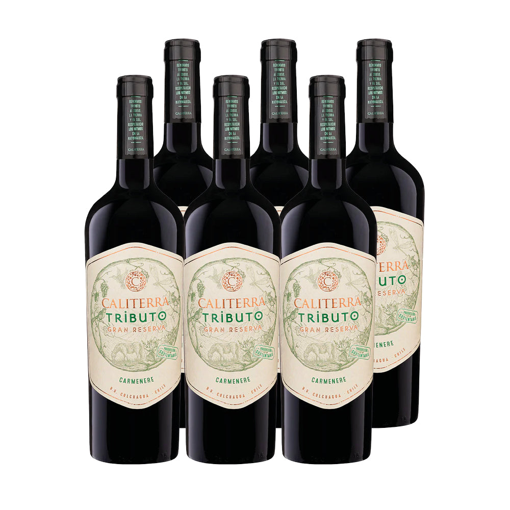 6x Vino Caliterra Tributo Gran Reserva Cepas 750cc