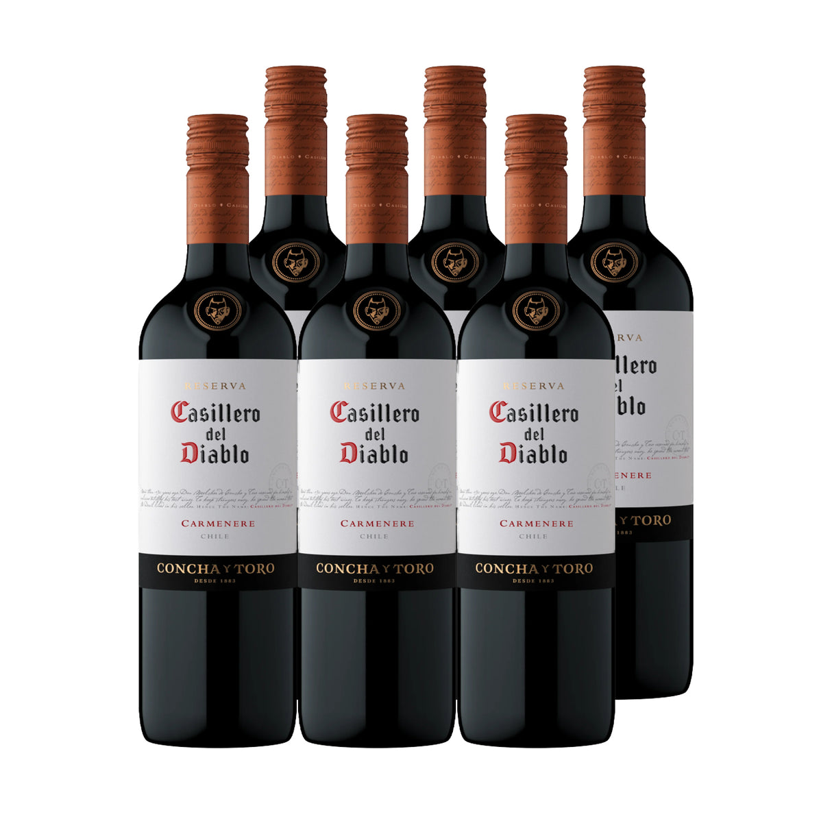 6x Vino Casillero del Diablo Reserva Cepas 750cc