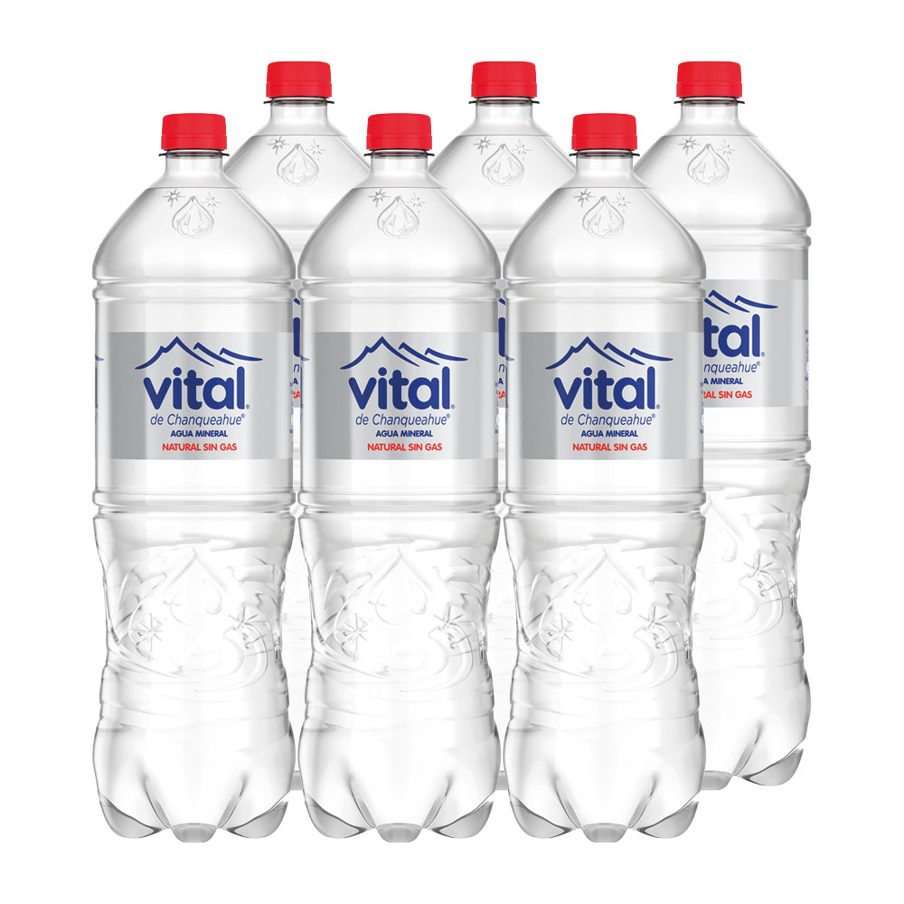 6x Agua Purificada Vital Sin Gas Desechable 1600cc