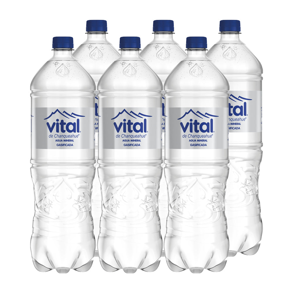 6x Agua Purificada Vital Con Gas Desechable 1600cc