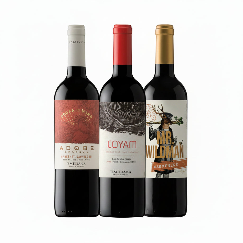 Arma tu Pack - 3x Vinos Adobe / Coyam / Mr. Wildman 750cc