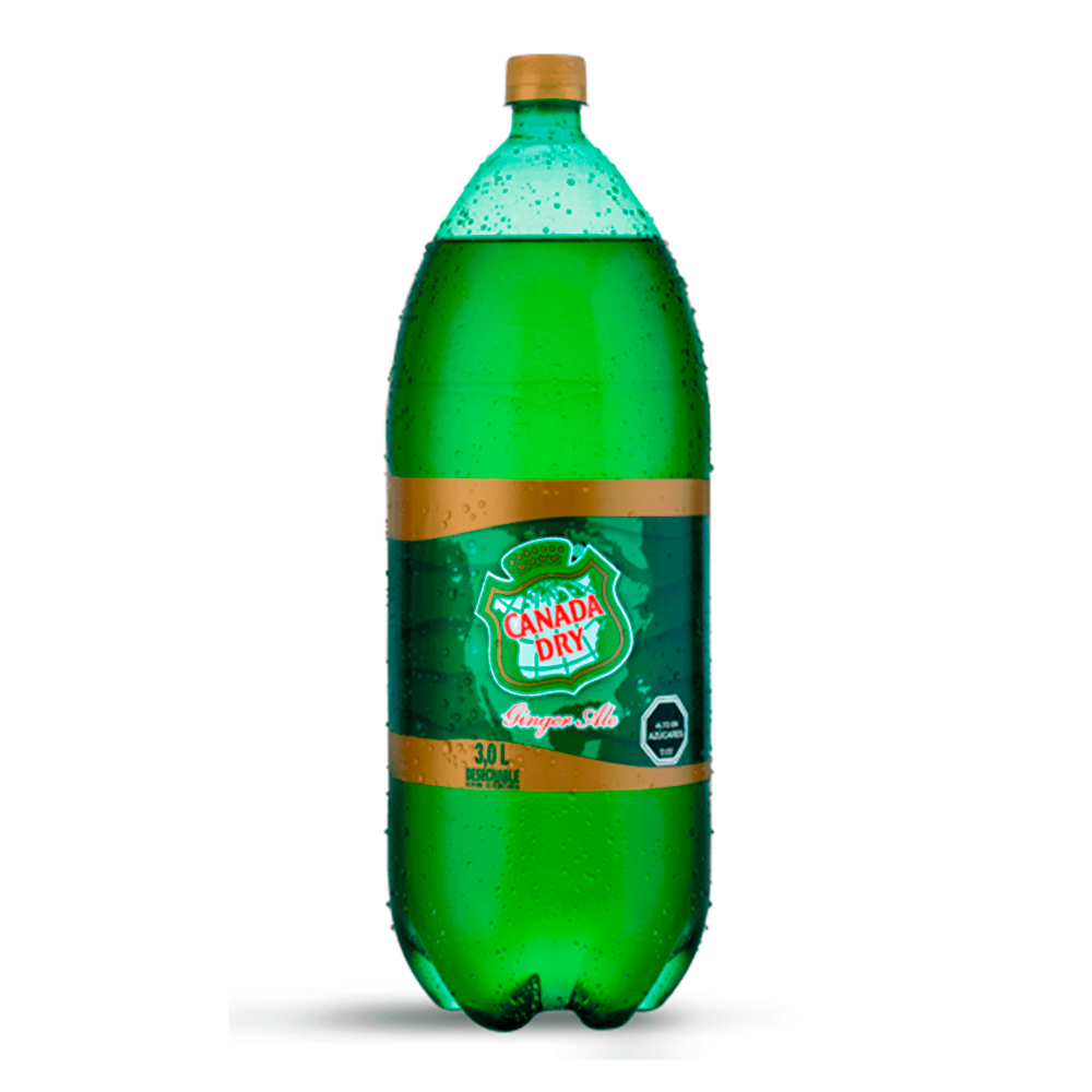 Bebida Canada Dry Ginger Ale Normal 3000cc
