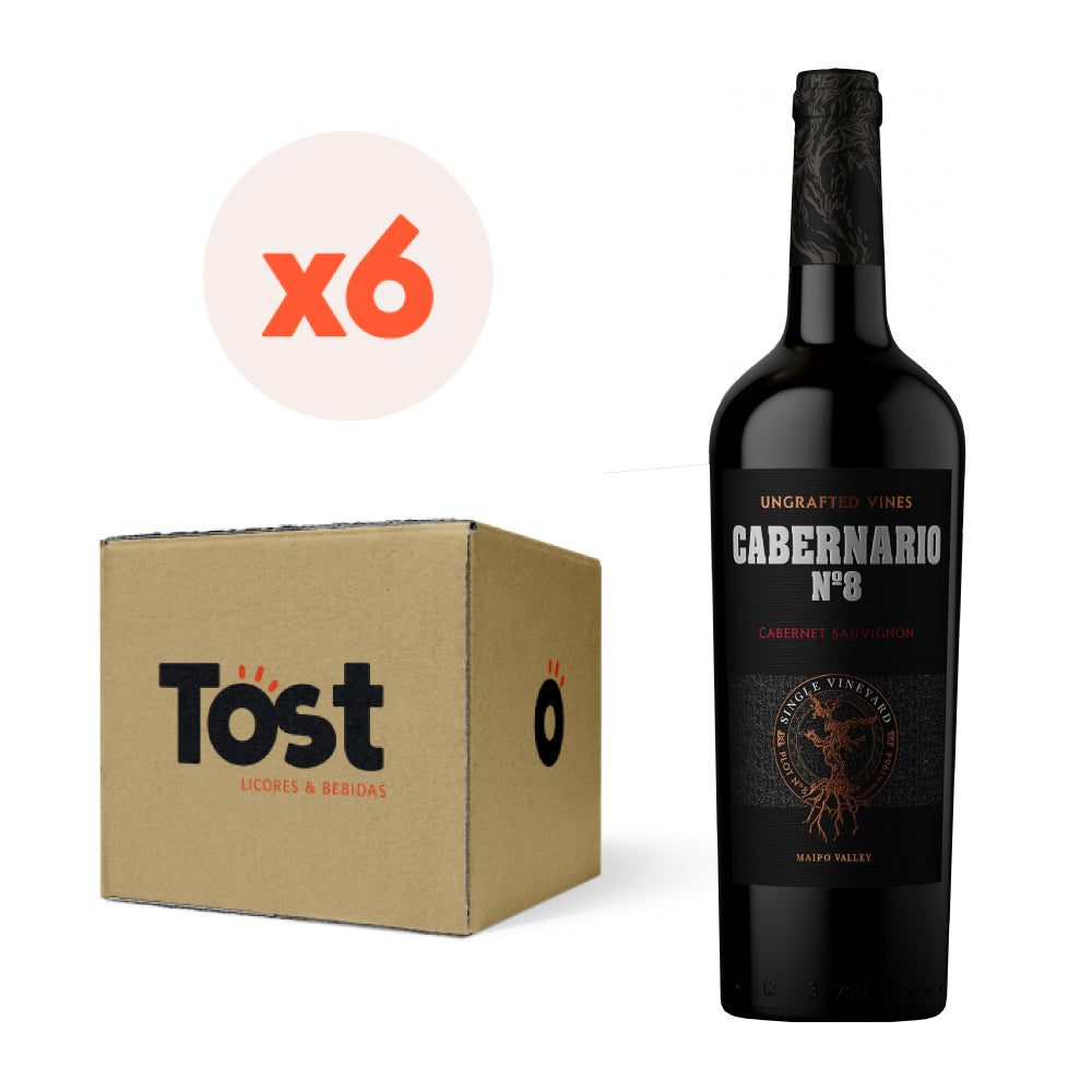 6x Vino Cabernario Cabernet Sauvignon 750 cc
