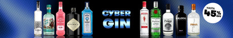 Gin Cyber