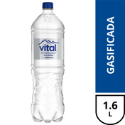Botella Agua Purificada Vital Con Gas 1600cc