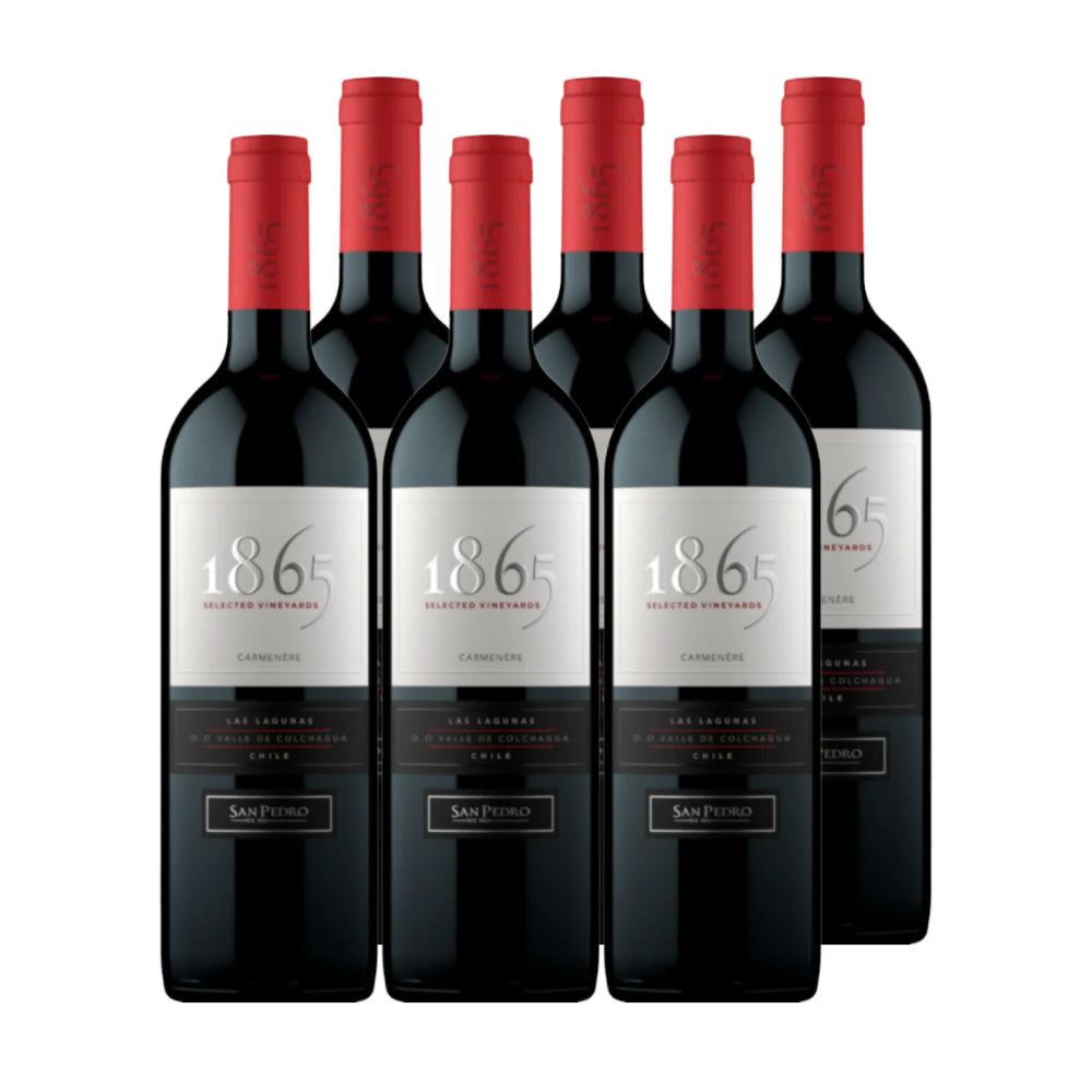 6x Vino 1865 Selected Vineyard Cepas 750cc