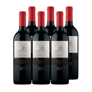6x Vino 1865 Selected Vineyard Cepas 750cc