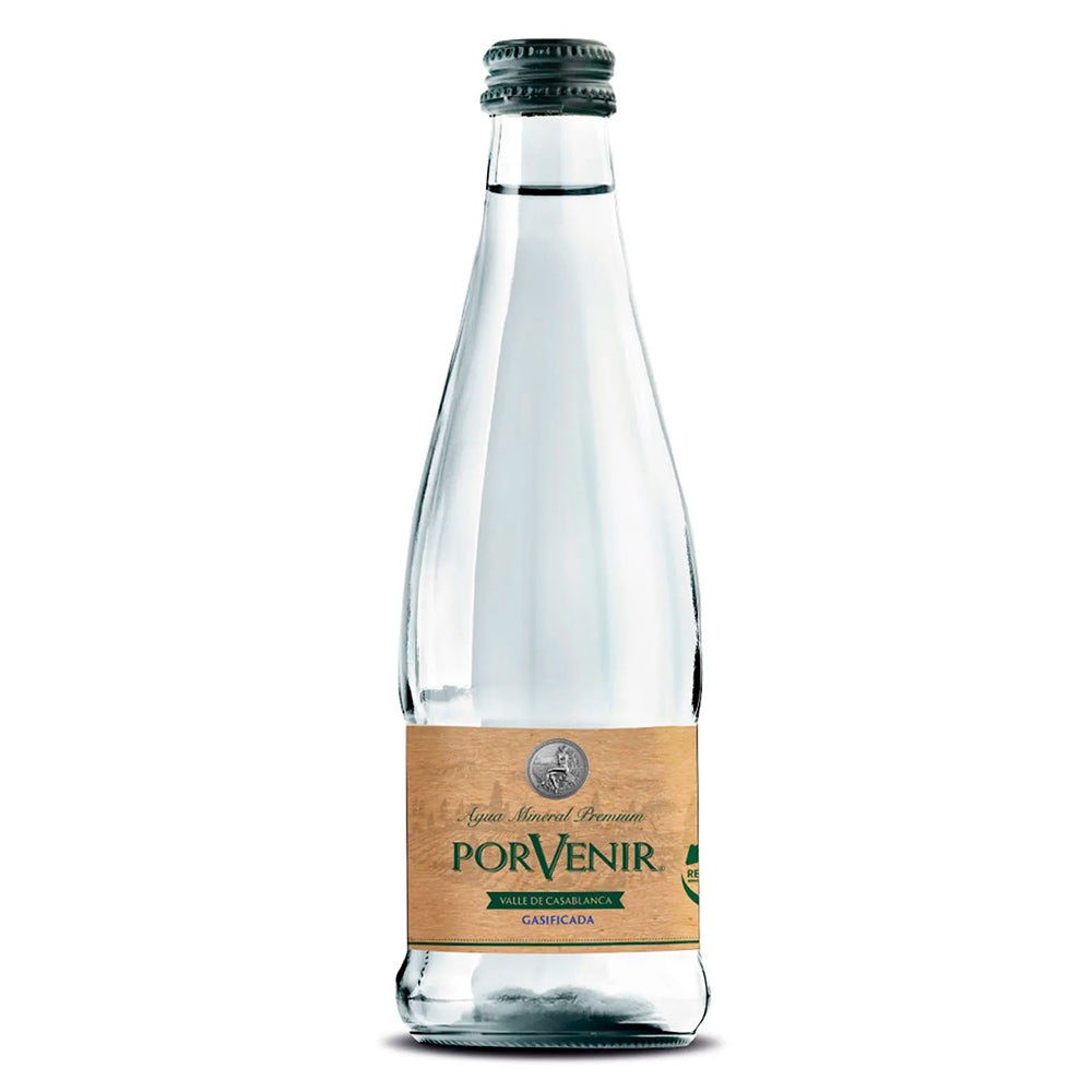 Agua Mineral Porvenir Con Gas Vidrio 330cc