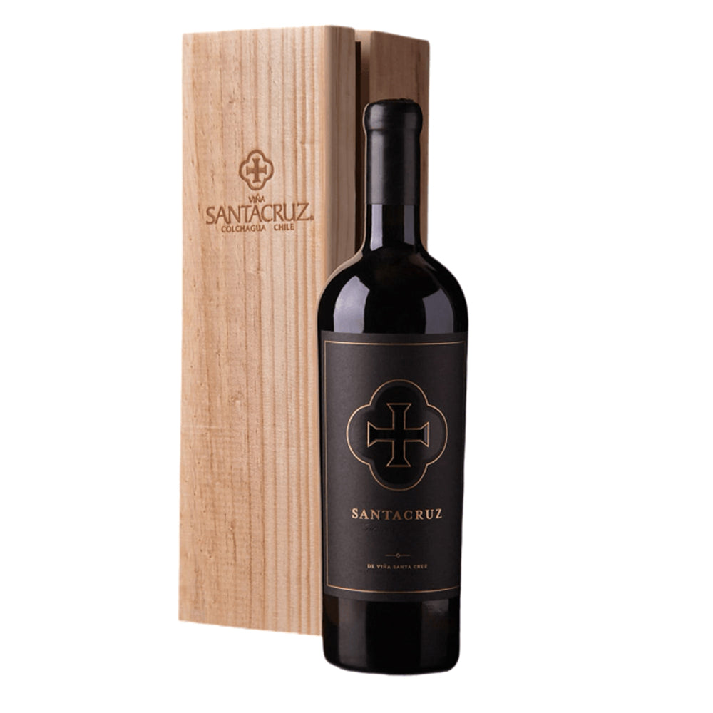 Vino Santa Cruz Petit Verdot Icono 14° 750cc