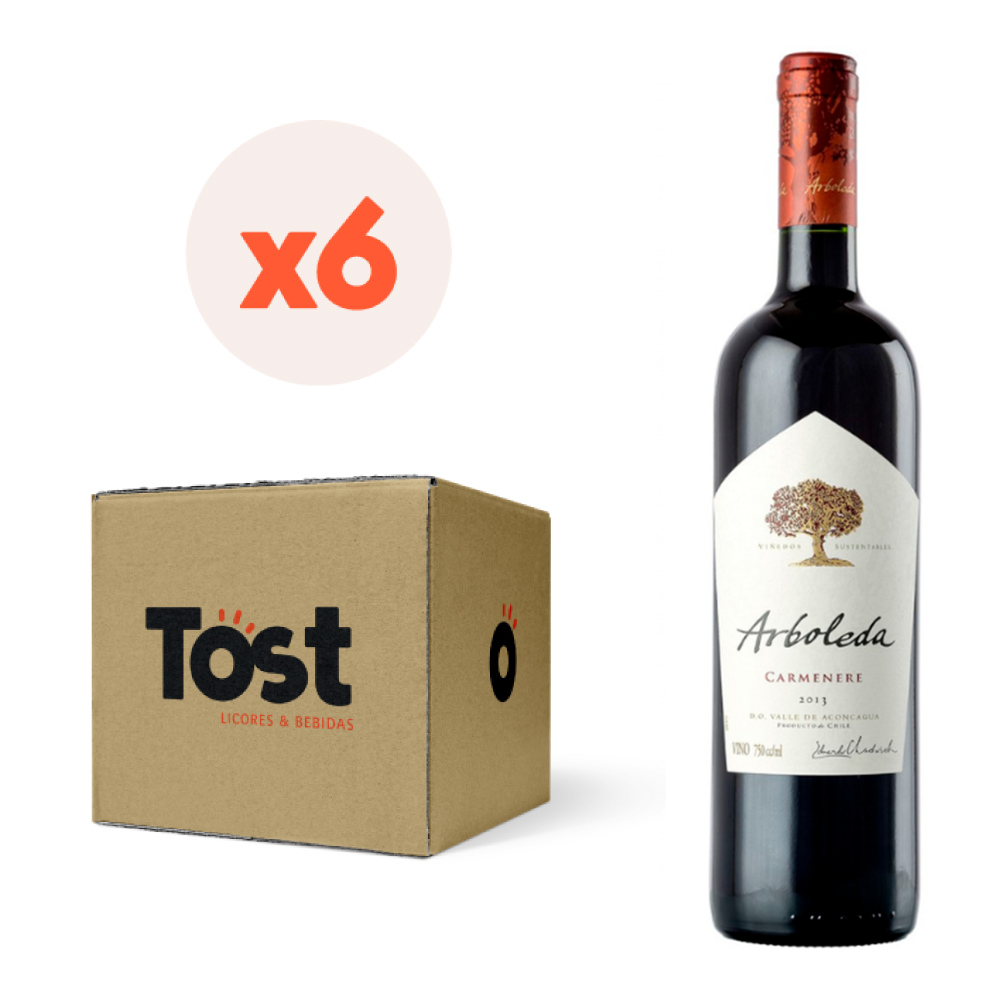 6x Vino Arboleda Carmenere 13,5° 750cc