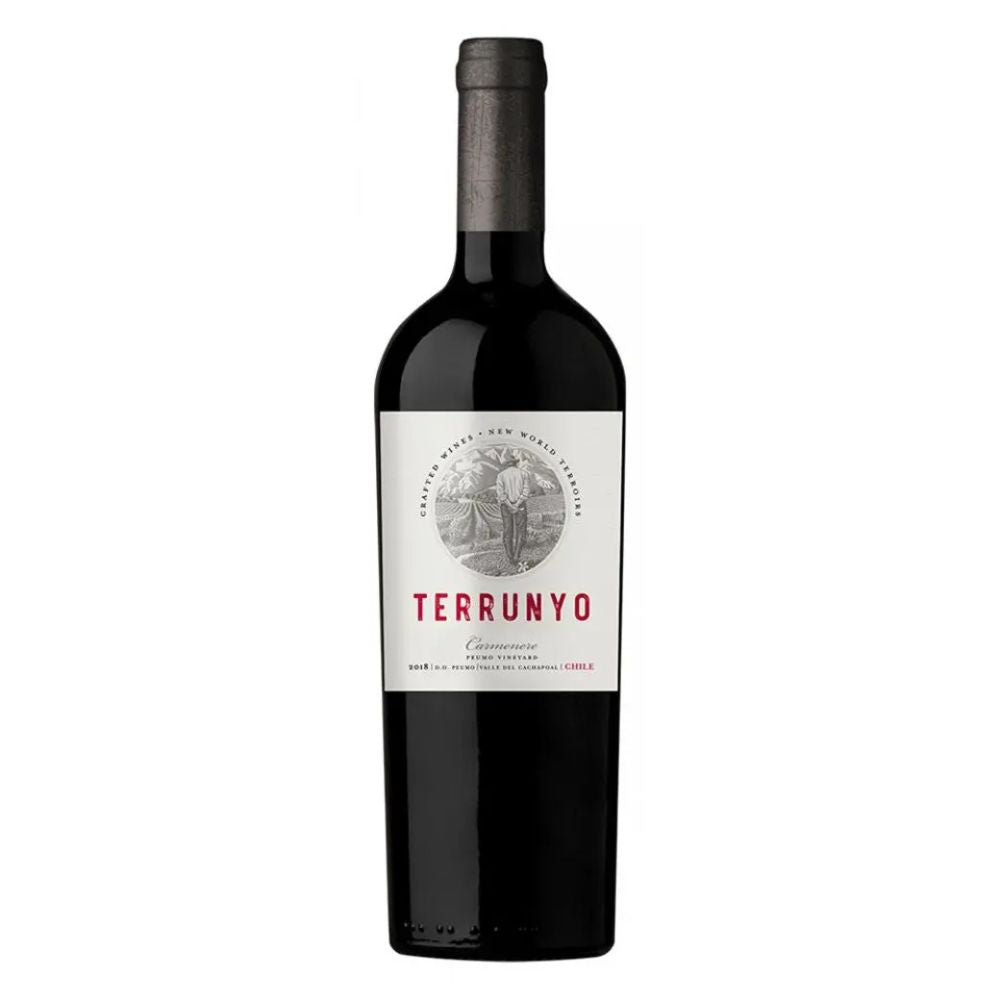 Vino Terrunyo Carmenere 13° 750cc