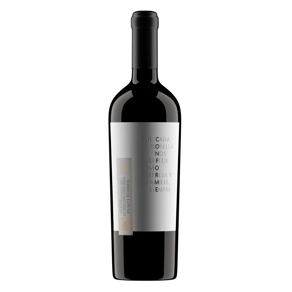 Vino Punti Ferrer Conforme Carmenere 14° 750cc