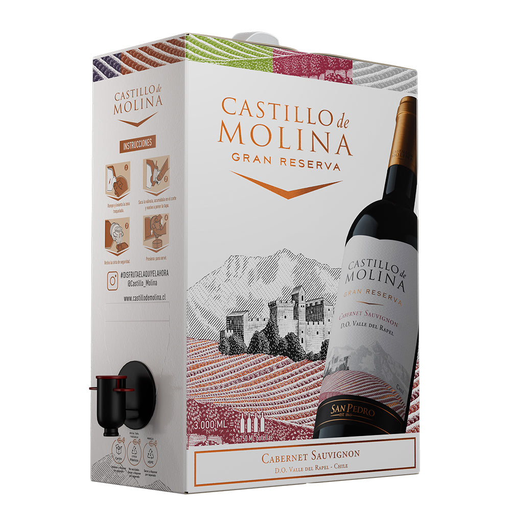 Vino Castillo De Molina Bag In Box Cabernet Sauvignon 3000cc