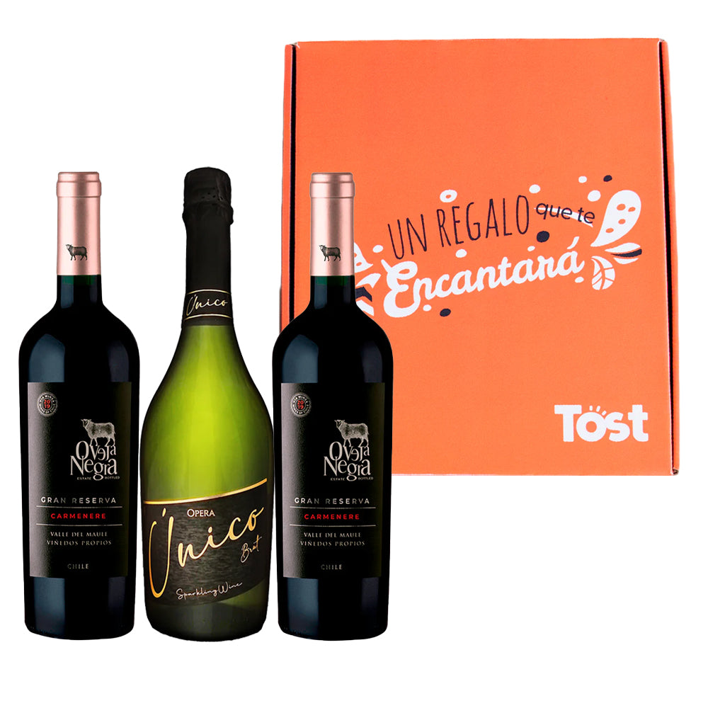 Pack de Regalo: 2 Vinos Gran Reserva Carmenere 750cc + Espumante Brut 750cc