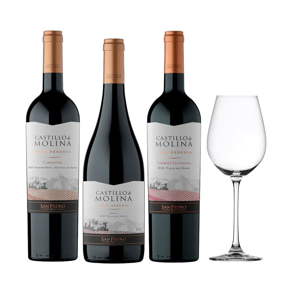 Arma tu Pack - 3x Vino Castillo de Molina Gran Reserva 750cc + Copa de Regalo