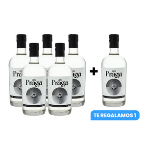6x Gin Praga Dry 38° 700cc