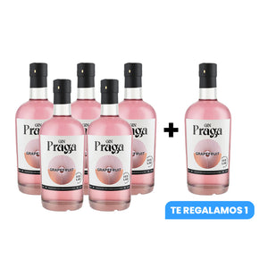6x Gin Praga Grapefruit 38° 700cc