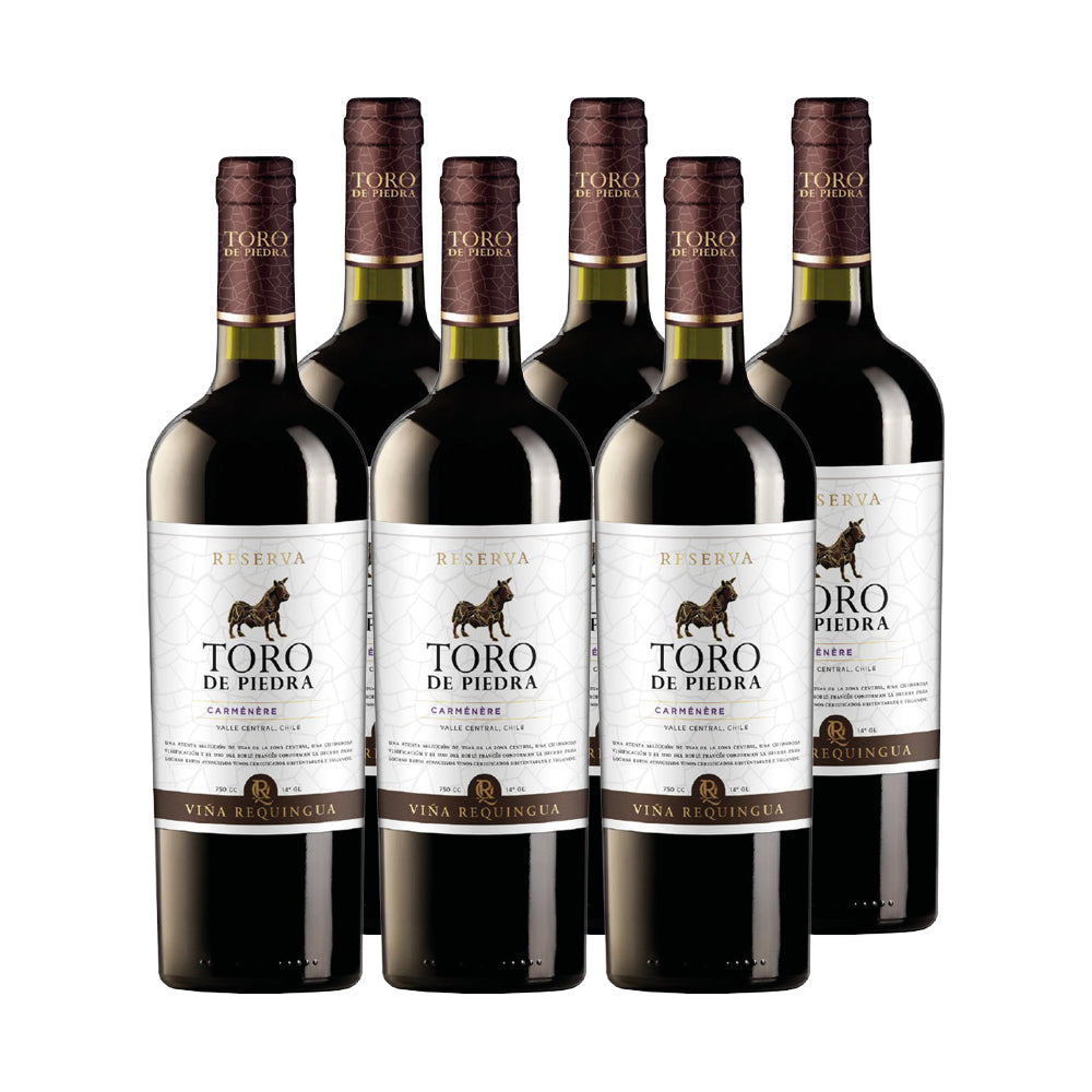 6x Vino Toro de Piedra Reserva Cepas 750cc