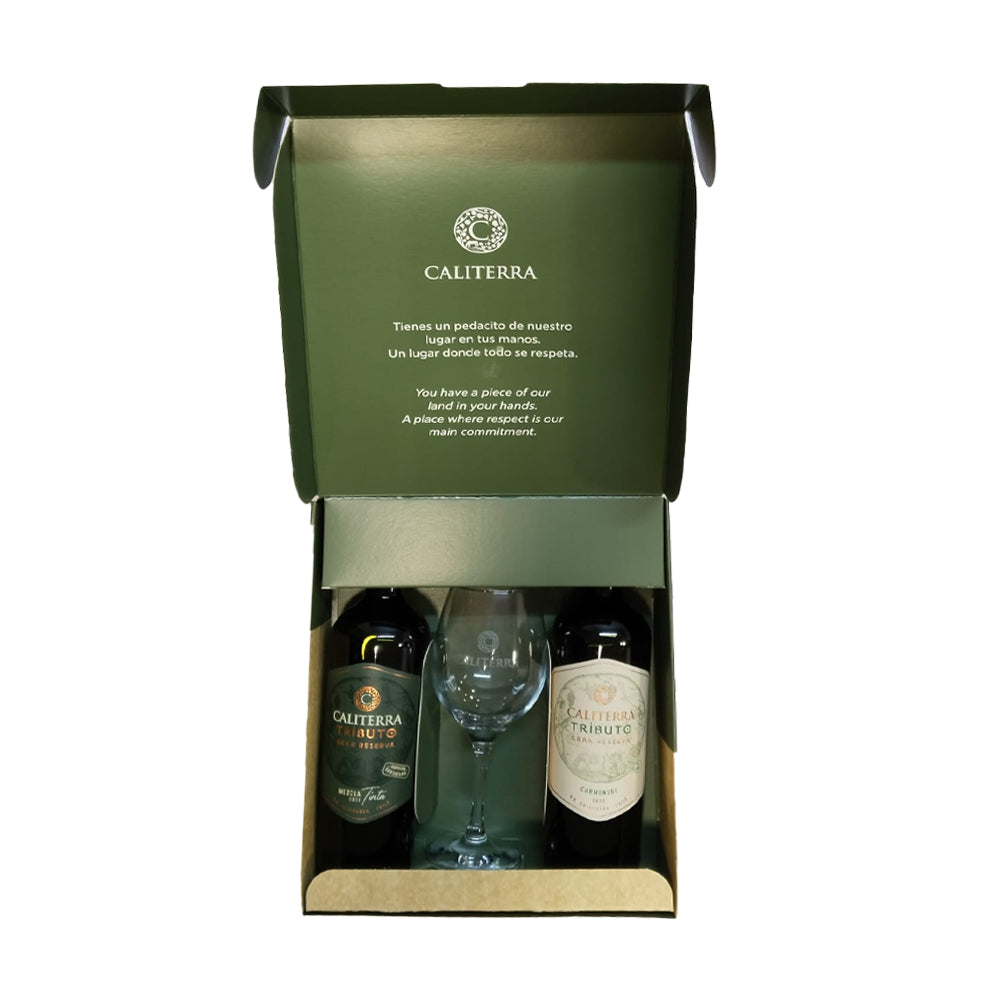 Pack 2x Vino Caliterra Tributo Gran Reserva 750cc + Copa