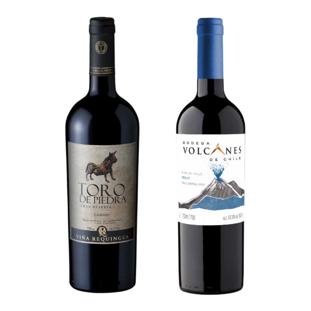 Vino Toro de Piedra Gran Reserva Carmenere + Vino Volcanes Varietal Carmenere