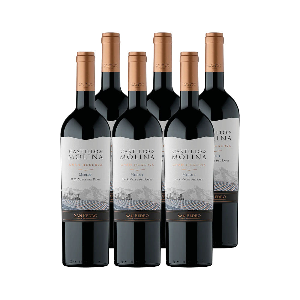 6x Vino Castillo de Molina Gran Reserva Cepas 750cc - Merlot