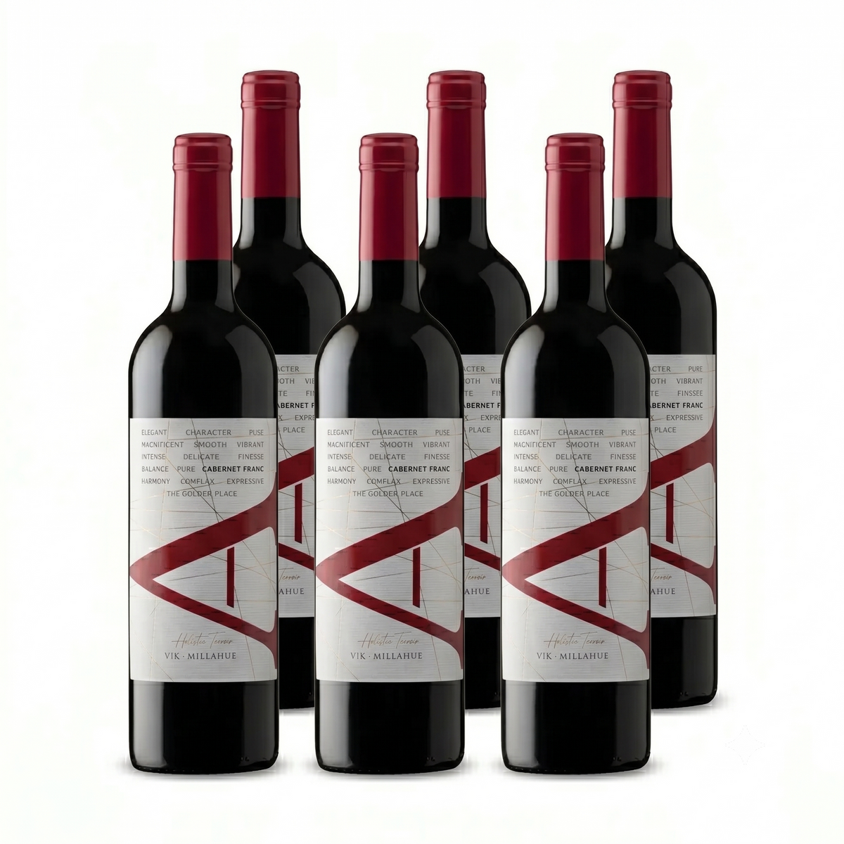6x Vino VIK A Cabernet Franc 14° 750cc