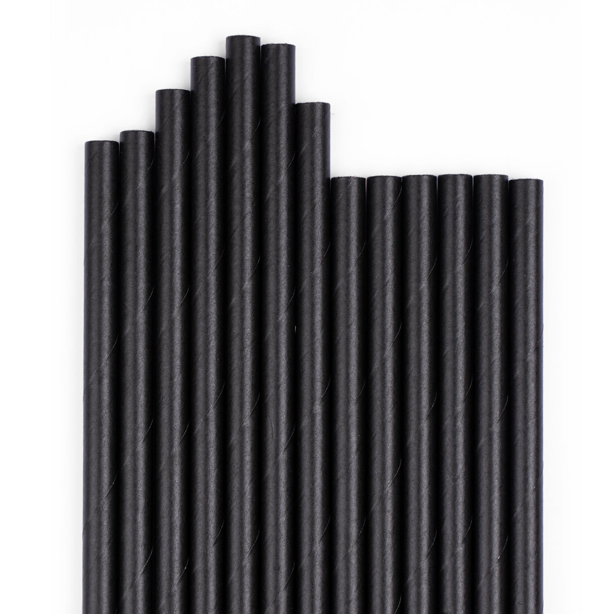 Bombilla Papel Negro 50 Unidades Palms
