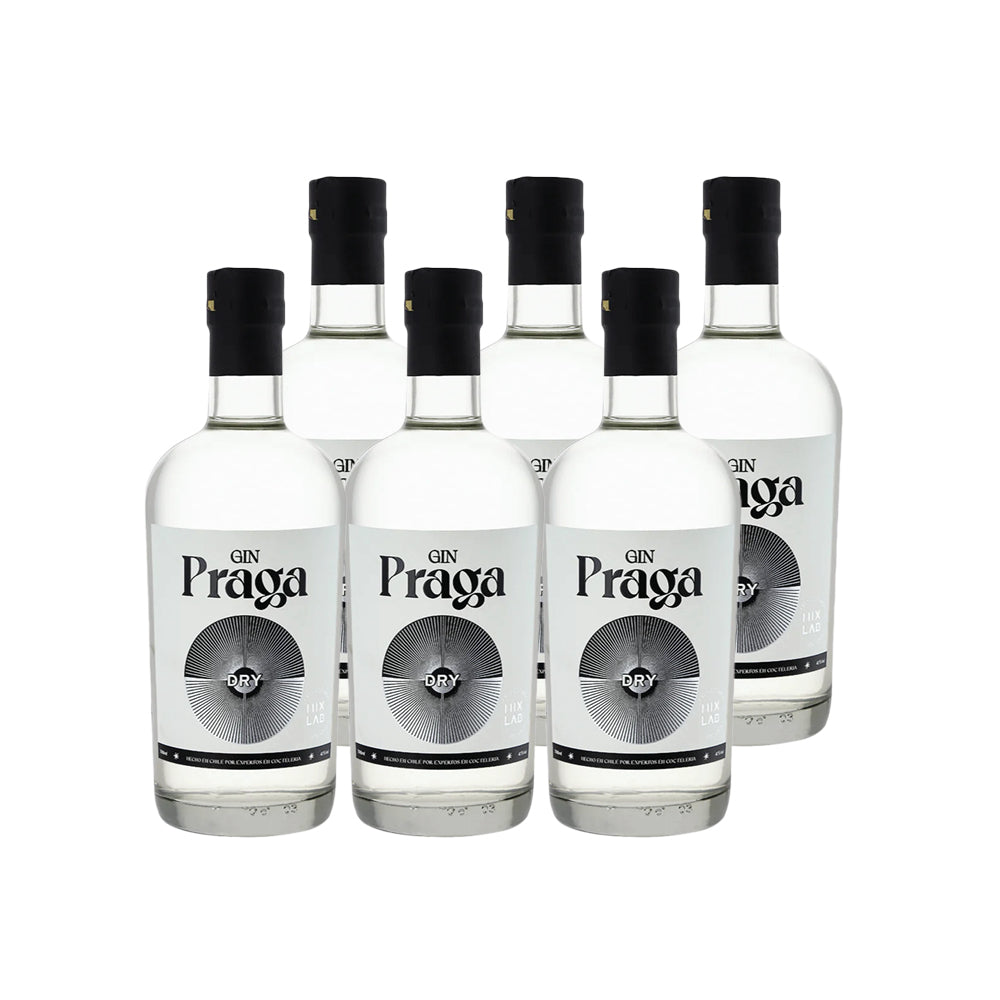 6x Gin Praga Dry 38° 700cc