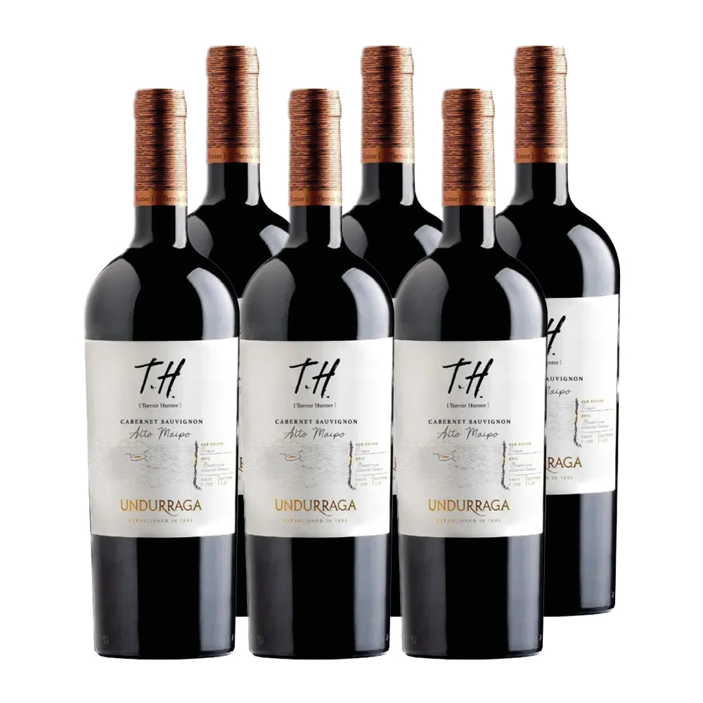 6x Vino Undurraga TH Cepas 750cc