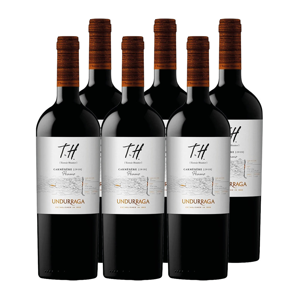 6x Vino Undurraga TH Cepas 750cc