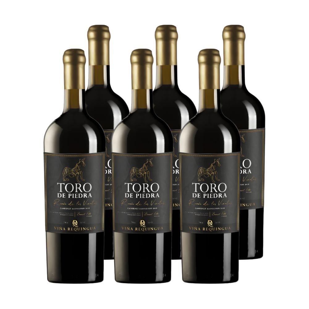 6x Vino Toro de Piedra Rincón de los Vientos Cabernet Sauvignon 750cc