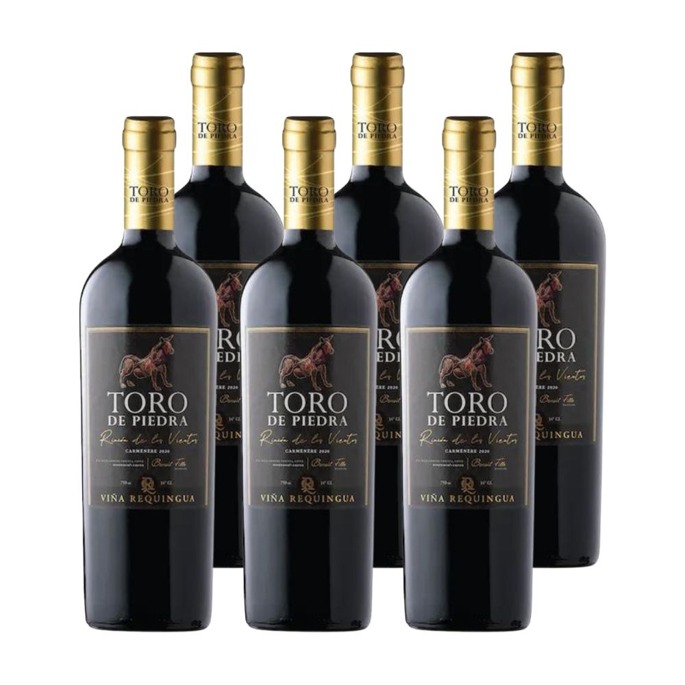 6x Vino Toro de Piedra Rincón de Los Vientos Carmenere 750cc
