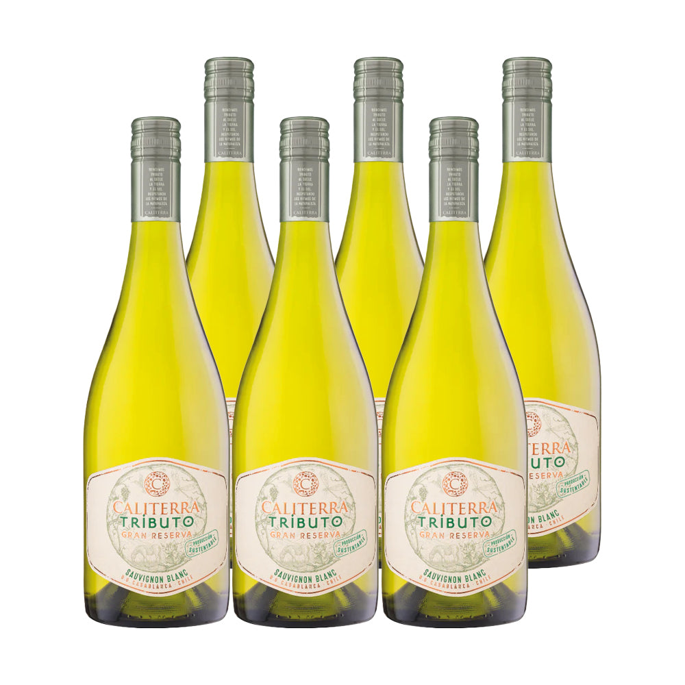 6x Vino Caliterra Tributo Gran Reserva Cepas 750cc - Sauvignon Blanc