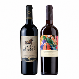 Pack Toro de Piedra + 7 Colores Gran Reserva 750cc