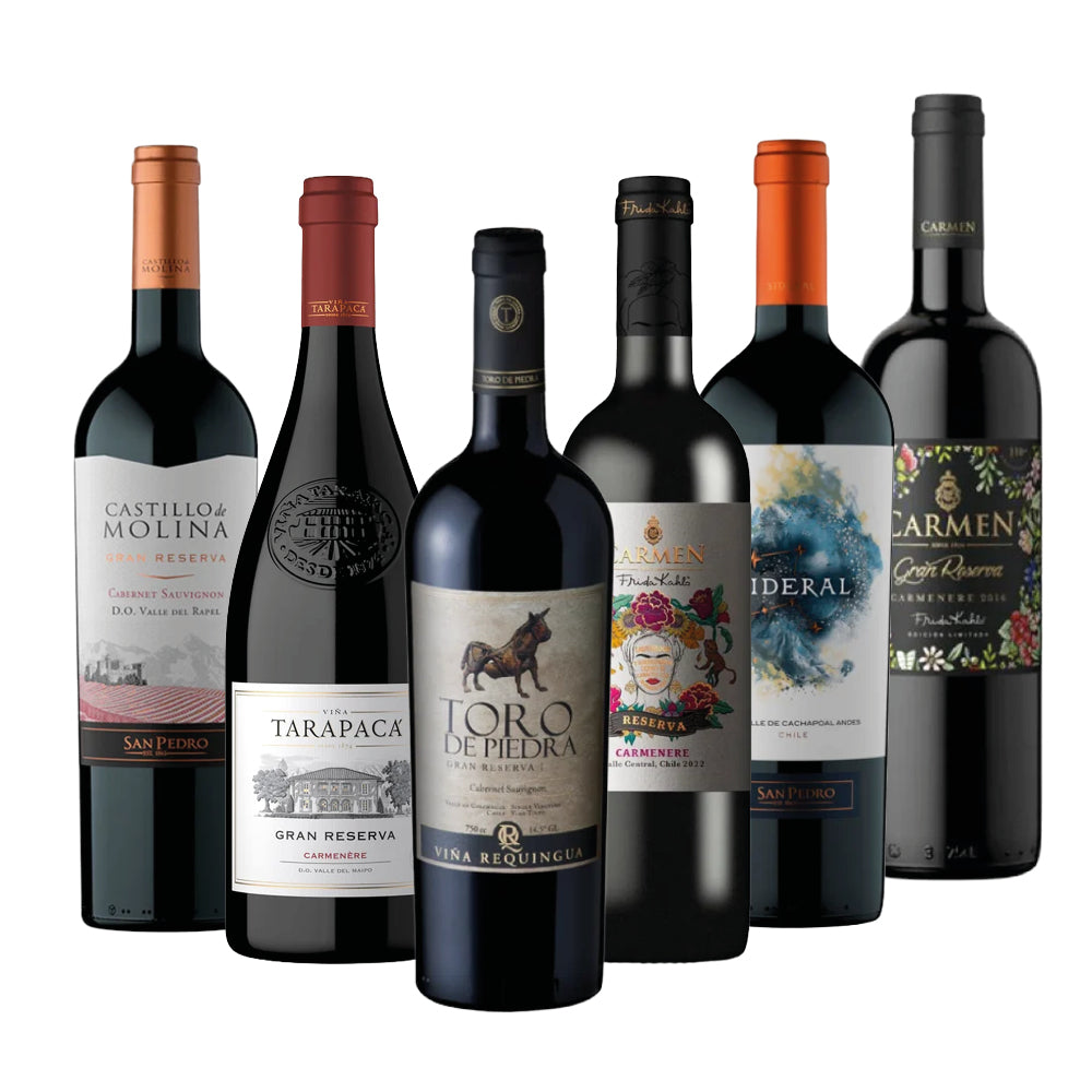 Selección 6x Vinos Top Sellers Santa Rita 750cc