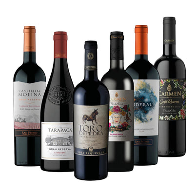 Selección 6x Vinos Top Sellers Santa Rita 750cc