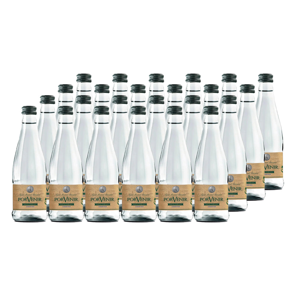 24x Agua Mineral Porvenir Con Gas Botella Vidrio 330cc