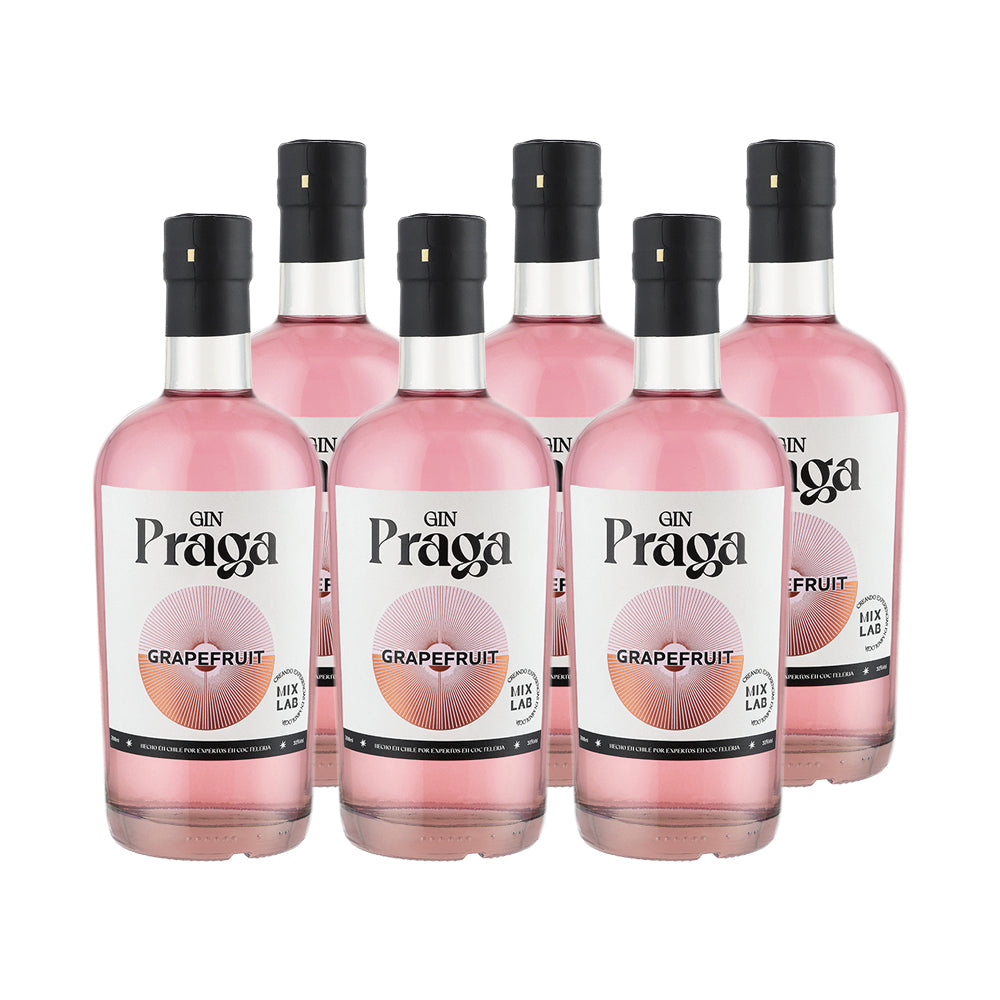 6x Gin Praga Grapefruit 38° 700cc