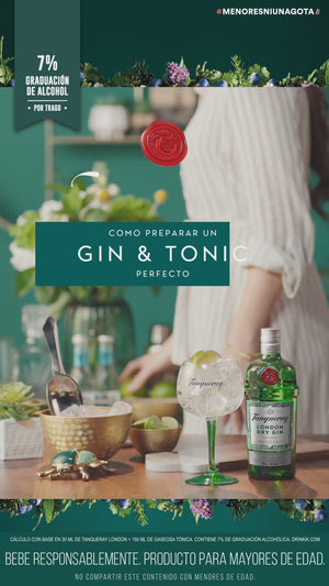 Gin Tanqueray London Dry 700cc