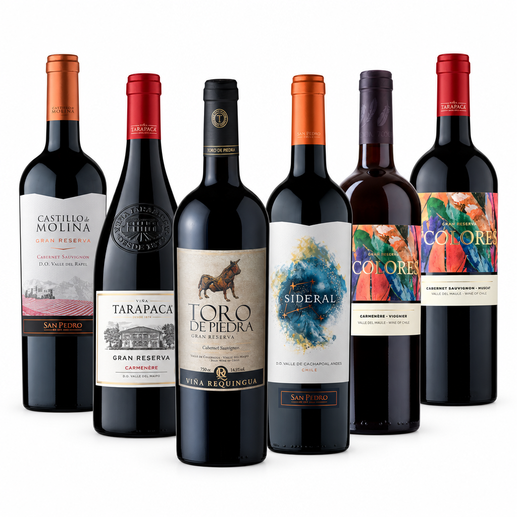 Selección 6x Vinos Top Sellers 750cc