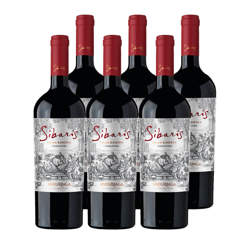 6x Vino Sibaris Gran Reserva Cepas 750cc
